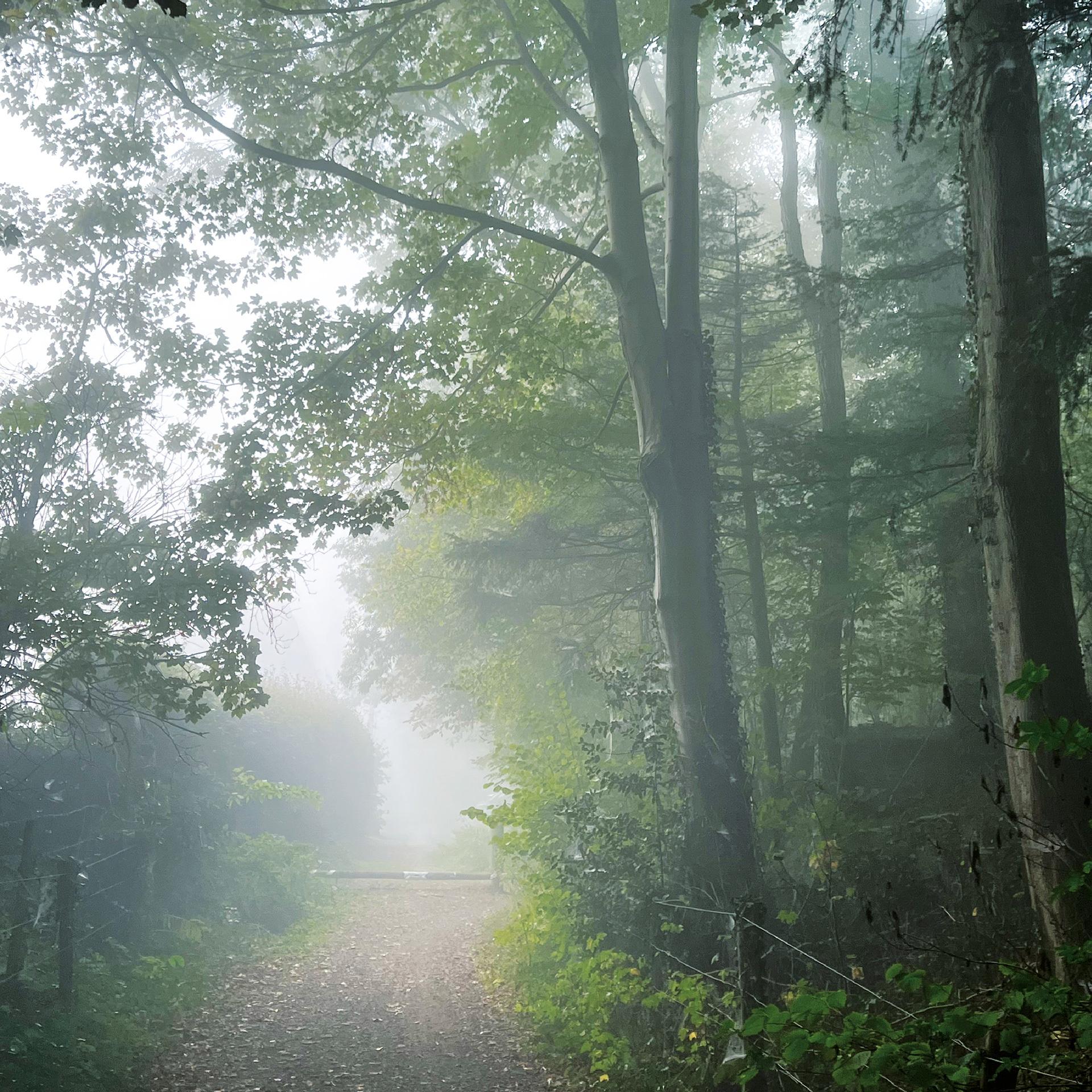 Soupassage beeld6
